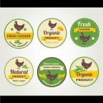 Food Safety Training and Raw Chicken Labels