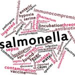 Online Food Safety Certification News Salmonella and DNA