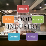 What does HACCP mean for ServSafe Food Managers