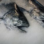 Frozen Fish Fish Sea Raw Healthy Seafood Market