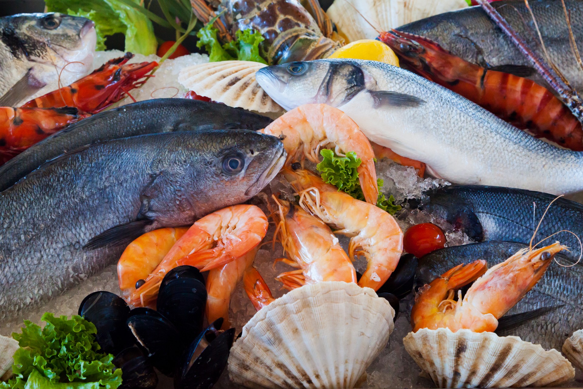 seafood-salmonella Seafood-Salmonella
