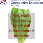 New Study Into E.coli Contaminated Romaine