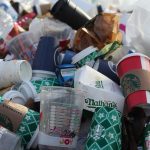 food safety managers plastic reduction