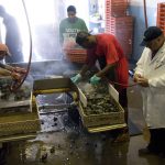 Safely Serving shellfish