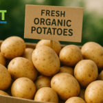 Certified Food Protection Manager