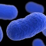 Listeriosis prevention needs your attention.
