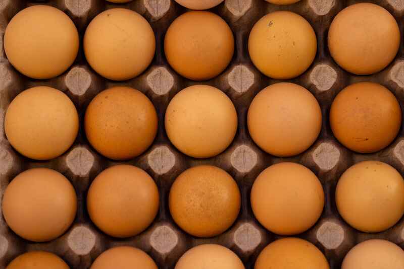 WHY-MN-FOOD-CODE-REQUIRES-RAW-EGGS-TO-BE-REFRIGERATED Why MN Food Code Requires Raw Eggs to be Refrigerated