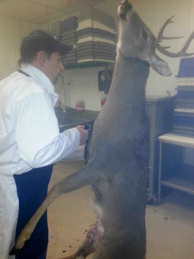 Wild-Game-Feed-Advice-For-Certified-Food-Managers Wild Game Feed Advice For Certified Food Managers
