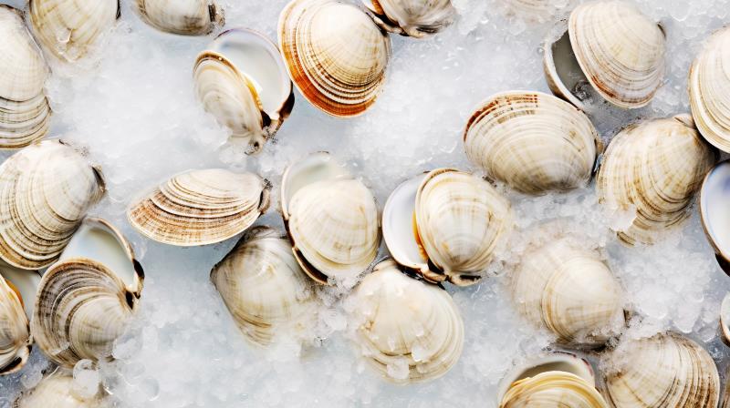 Proven ServSafe Guide For Better Shellfish Storage
