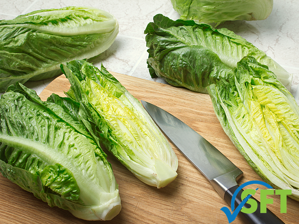 Minnesota certified food manager (CFM)-3 Romaine lettuce and E. Coli