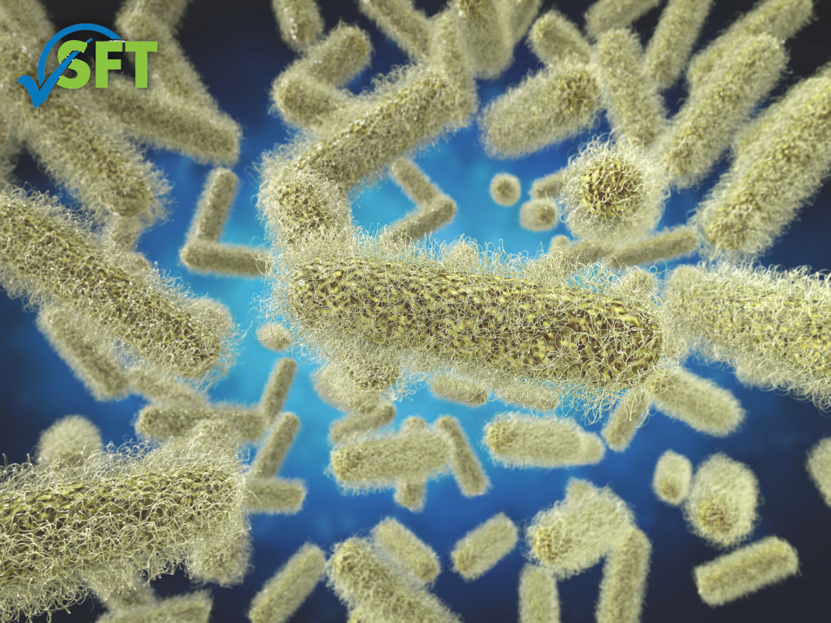 Minnesota certified food manager (CFM)-4 (1) Shigella