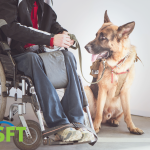 Service animal or emotional support animal, which is okay in your establishment?
