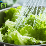 Washing lettuce