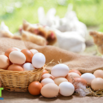 Easter food safety guide