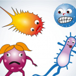 Food Safe Training Guide to E. coli