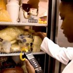 Food Safety Manager and Health Inspector Interactions