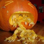 Certified Food Protection Manager Vomit Cleanup