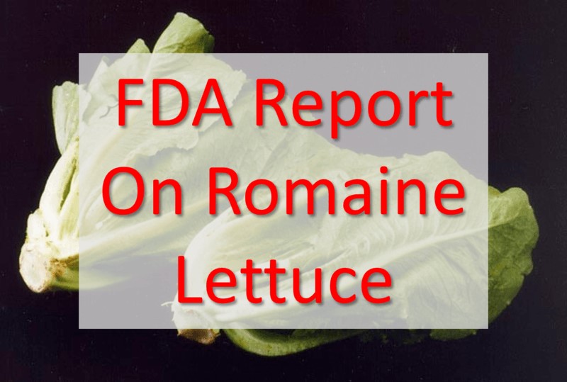 FDA Report On Romaine Lettuce 