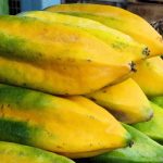 ServSafe and Salmonella on Papayas
