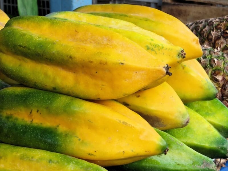 ServSafe and Salmonella on Papayas