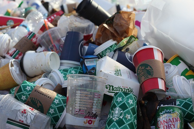 food safety managers plastic reduction