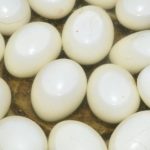 Hard-Boiled-Egg-Recall