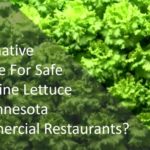 Food Safety Indoor Farms Example