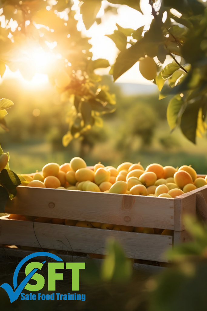 food protection manager