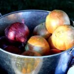 Food recall procedures that servsafe managers need to know