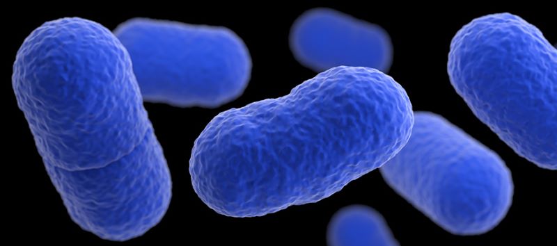 Listeriosis prevention needs your attention.