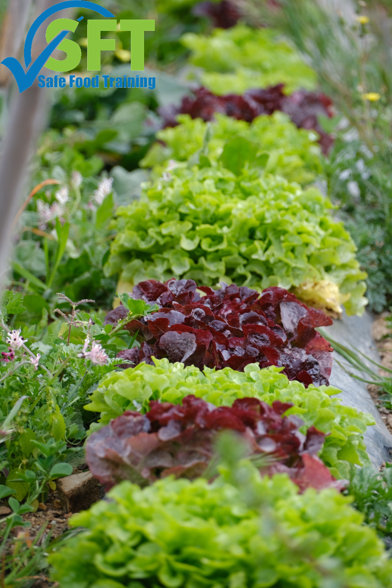 local sourcing