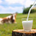 Raw Milk in Minnesota.