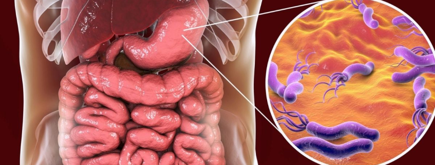 Dangers of foodborne illness
