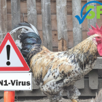 bird flu-h5n1-virus sign