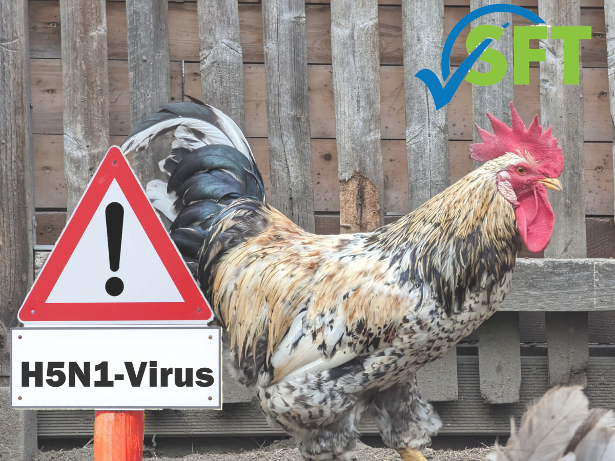 bird flu-h5n1-virus sign