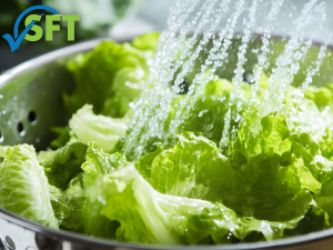 Washing lettuce