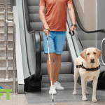 service animals in restaurants