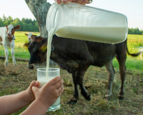 Hidden risks of raw milk