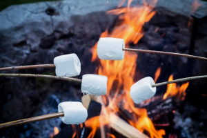 CFPM summer camp roasting marshmallows.
