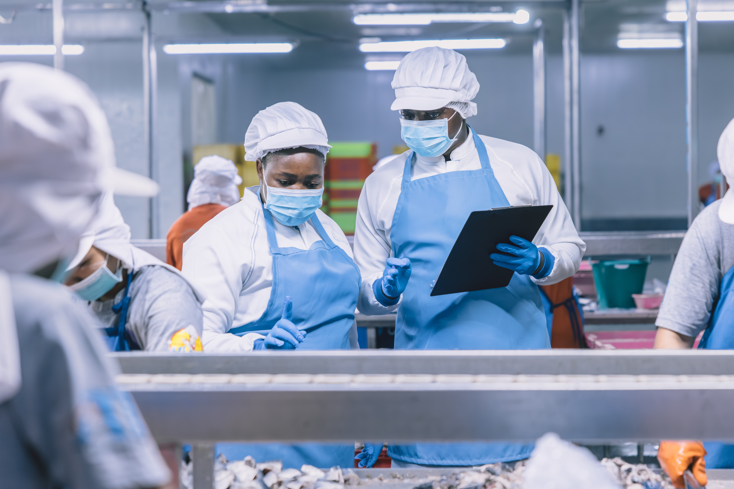 Food hygiene officer inspecting and certifying the cleanliness of fish production product factory,
