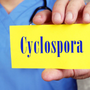 The 4,000-Case Cyclospora Outbreak- How to Protect Your MN Kitchen from the Parasite-1 cyclospora outbreak: Is your team prepared?