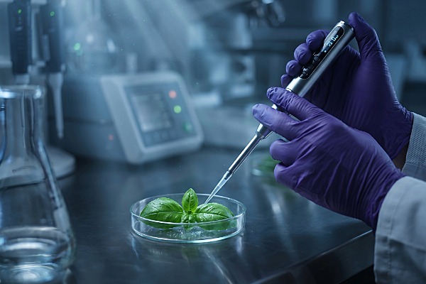 Reporting and testing is the key to finding and eliminating the risk of Cyclospora.