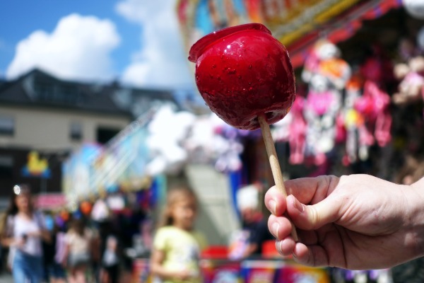 MN state fair vendor inspection checklist
